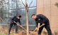 【fun88官网使命】济南fun88官网投资控股集团： 弘扬自愿效劳，，，，，，，齐建绿色都会   